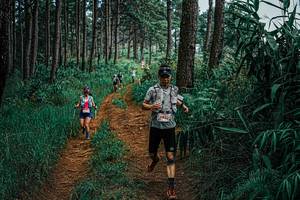 BIB: 
                            <button type="button" onclick="openModal(25660466)" class="btn btn-primary btn-sm float-right btn-popup" data-toggle="modal" data-target=".modal-high-quality">
                        <i class="fas fa-shopping-cart"></i> Add to Cart
                    </button>
                                            <button type="button" onclick="isThisMe(25660466, true)" class="btn btn-success btn-sm float-right btn-popup btn-isme hidden" data-toggle="tooltip" data-placement="bottom" title="นี่คือรูปของคุณใช่ไหม คลิกที่นี่เพื่อเอาเข้าอัลบั้ม">
                        <i class="fas fa-plus"></i> Add to album
                    </button>
                    <button type="button" onclick="isThisMe(25660466, false)" class="btn btn-warning btn-sm float-right btn-popup btn-isnotme hidden">
                        <i class="fas fa-ban"></i> Remove from album
                    </button>